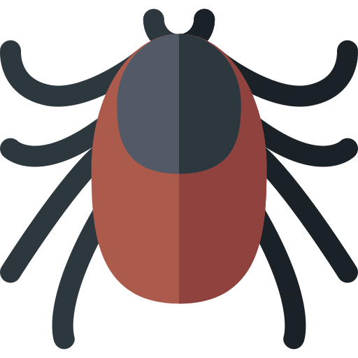 ticks