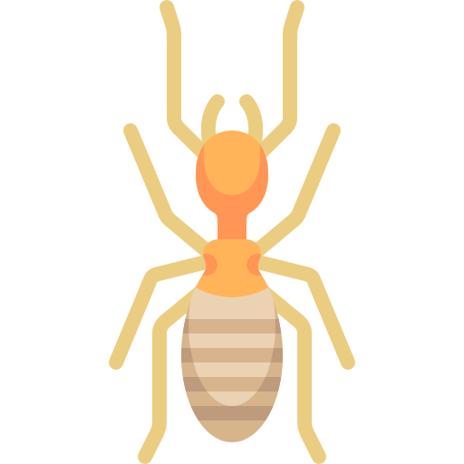 termite